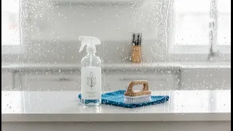 Why More Households Are Choosing Low-Chemical Cleaning During The Rainy Season