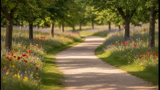 A Gentle Stroll After Meals May Suit People Who Dislike Formal Workouts