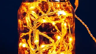 Replacing Plastic Festive Decor With Copper LED Lights Helps Reduce Annual Holiday Waste
