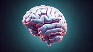 Boost Brain Power: 6 Habits for Sharper Memory