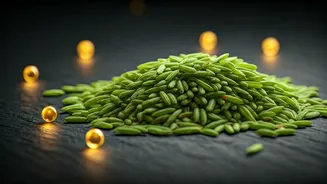 Unlocking Hidden Health: 'Good Fats' in Green Rice Revolutionize Indian Diets