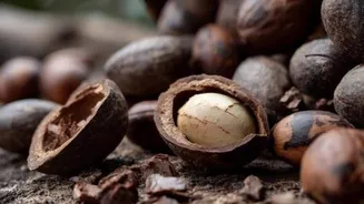 5 delicious ways to enjoy shea nuts
