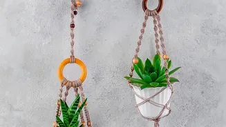 Gen Z Homeowners Turn To Eco Friendly Copper Crafts For Apartment Decor