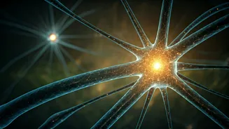 Beyond Static AI: Unveiling Autonomous Learning for Human-Like Adaptability