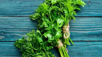 How to use parsley in everyday cooking