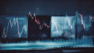Top Stock Market Movers: Gainers and Trends in India