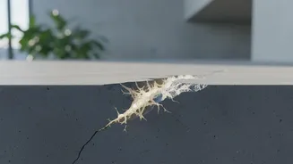 Bacteria Infused Cement Promised To Automatically Repair Monsoon Potholes On Urban Roads