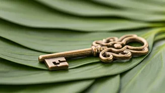 Daily Horoscope: November 11th - Aries, Release & Trust!