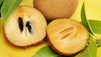 Why you should start eating sapodilla