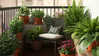 Indian Metros Are Obsessed With Cute Balcony Corners