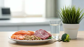 Fueling Recovery: Essential Nutrition & Lifestyle for TB Patients in India