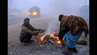 Dense fog alert! IMD forecasts cold days across North and East India