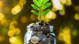 How Young Tier 2 Earners Smartly Divide Income For Wealth Building And Fun