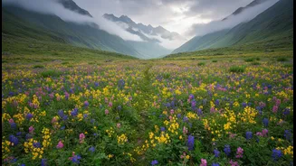 Why mid-July to September is the ultimate execution window for Valley of Flowers trekking plans