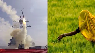 Related Stories banner