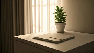 5 AM Soul Reset: Unlock Your Day with Powerful Morning Affirmations