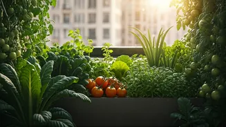 Edible Balconies Are The New Urban Flex