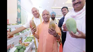 Uttar Pradesh's Aam Mahotsav Begins In Lucknow; Over 800 Mango Varieties On Display