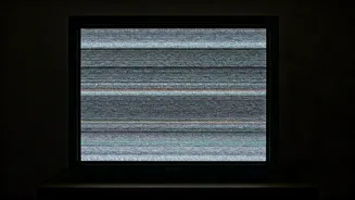 Iran's TV Hacked: Prince's Message Broadcast