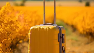 Short Trips Need Room Rates and Transport Costs Compared Together