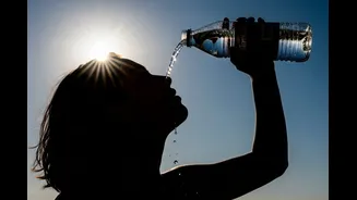 Heatwave Safety Tips: How To Protect Children And Families This Summer