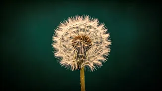 Embrace Your Inner World: The Unique Strengths of Introverts