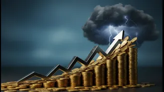 Mid-Cap And Small-Cap Fund Inflows Is A Useful Case Study In Higher Growth Potential With Higher Volatility