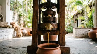 How Gentle Wooden Milling Preserves Active Phytosterols In South Indian Sesame Oil For Better Digestive Function
