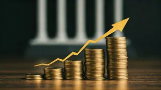 RBI Repo Rate Cut: Your Guide to Cheaper Loans & Investments