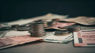 Before Sakura Plans, Check Visa Costs