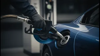 E20 Petrol Debate Gets A Premium-Car Test Through Sourav Joshi's Viral Video
