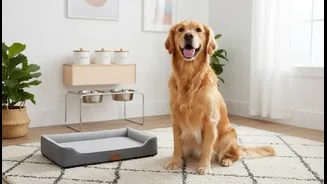 Monsoon Pet Parents Need Odour-Control Discipline