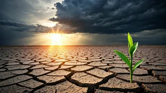 Central India Gets Pre-Monsoon Relief Amid Severe Deficit Statistics