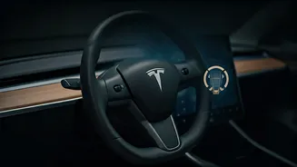 Tesla Model 3, Model Y Owners Get Probe Update