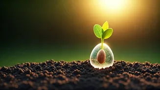 Unlock Natural Success: The Korean Wisdom of Doing What You Love