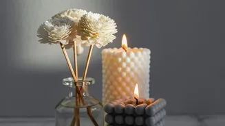 How To Stop A Monsoon Damp Smell From Returning