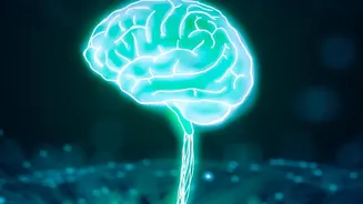 With Active Focus: Meta Introduces Its Most Capable Muse AI Systems To Date