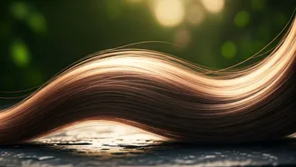 Related Stories banner