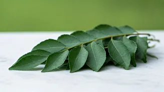 Related Stories banner