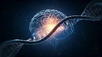 Can Genes Explain Intelligence? Scientists Say It Is Complicated