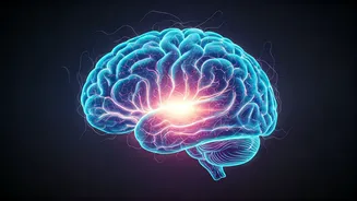 Unlock Your Potential: 8 Keys to Rewire Your Brain for a Higher State of Being