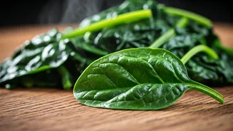 Related Stories banner