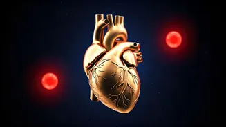 Related Stories banner