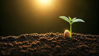 Financial Stability Begins With This Simple Habit