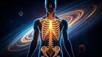 Cosmic Wellness Guide: April 24, 2026 Health Forecast for Every Zodiac Sign