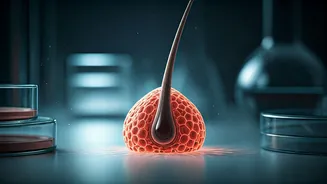 Lab-Grown Hair Follicles: A Potential Cure for Baldness?