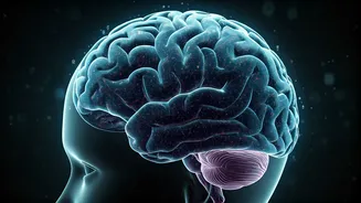 Unpacking the Brain Drain: How Short Videos Shape Young Minds