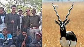 MP News: Three Arrested For Blackbuck Poaching In Sagar; Meat, Skin Seized