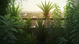 More City Homes Are Choosing Native Green Spaces
