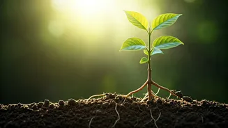 12 Empowering Phrases to Shape Your Child's Lifelong Self-Esteem and Confidence